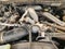 2022 Ford Super Duty F-250 SRW XLT