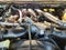 2019 Ford Super Duty F-250 SRW Lariat